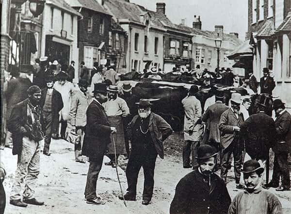 HJ Burt Estate Agents in Steyning